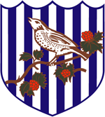 West Bromwich Albion Calcio