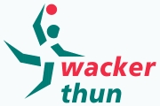 Wacker Thun Pallamano