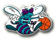 Charlotte Hornets Pallacanestro