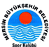 Mersin Büyüksehir Pallacanestro