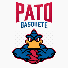 Pato Basquete Pallacanestro
