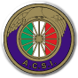 Audax Italiano Calcio