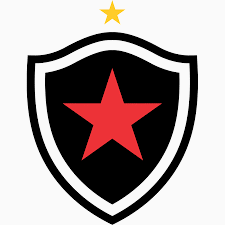 Botafogo FC Calcio