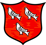 Logo týmu