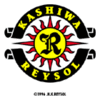 Kashiwa Reysol Calcio