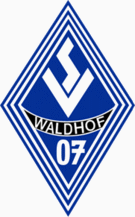 SV Waldhof Mannheim Calcio