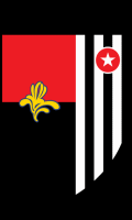 RWD Molenbeek Calcio