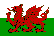 Wales Calcio