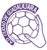 BM Guadalajara Pallamano