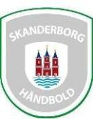 Skanderborg Pallamano