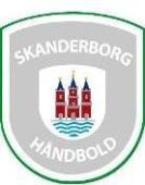 Skanderborg Rukomet