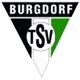 TSV Burgdorf Pallamano