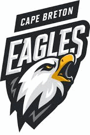 CB Screaming Eagles Hockey