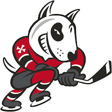 Niagara IceDogs Hockey