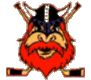 Nybro Vikings IF Hockey