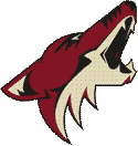 Arizona Coyotes Hockey