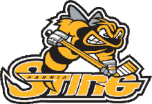 Sarnia Sting Hockey