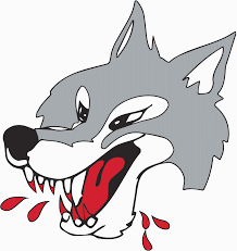 Sudbury Wolves Hockey